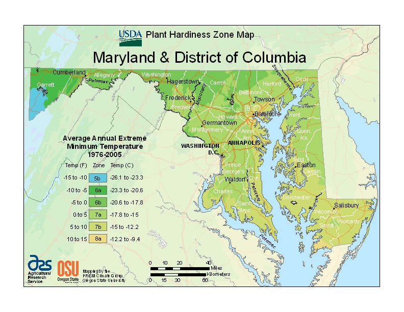Zone 6 Map for Md